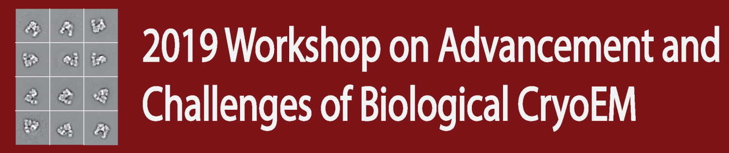 2019 Workshop on advancement and challenges of biological cryoEM